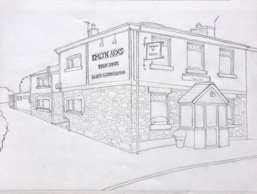 Bed and Breakfast Emlyn Arms Llanarthney Экстерьер фото