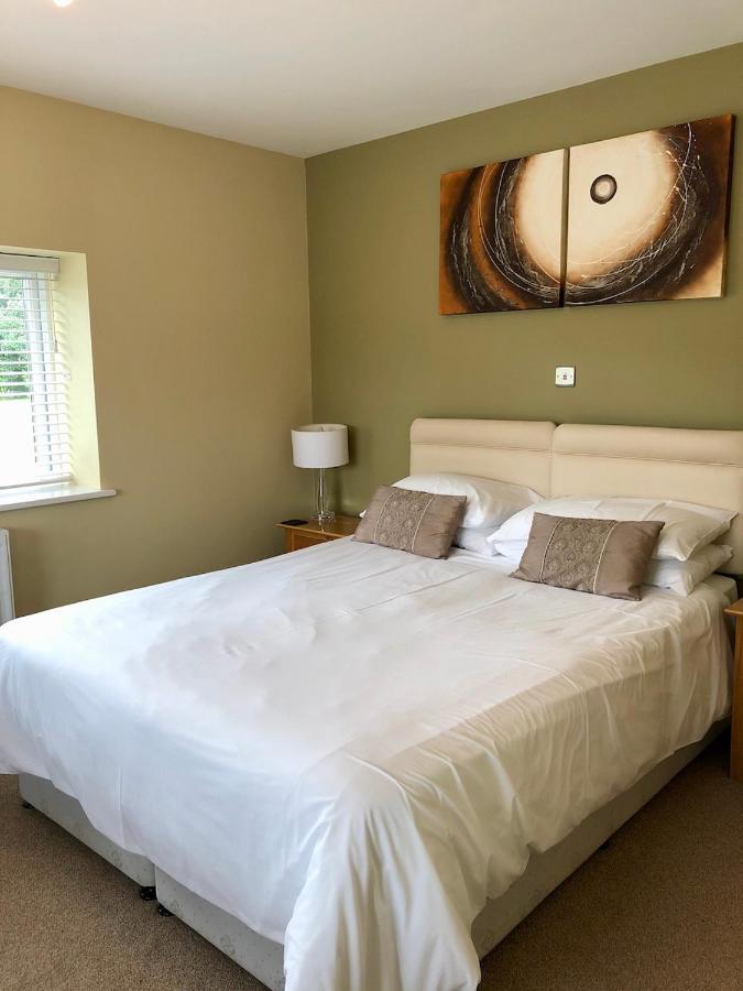 Bed and Breakfast Emlyn Arms Llanarthney Экстерьер фото