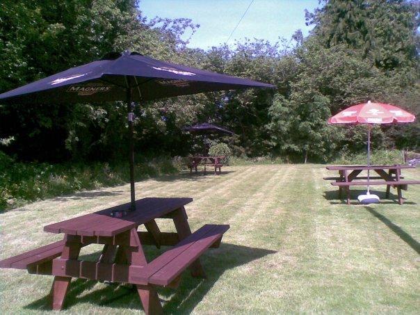 Bed and Breakfast Emlyn Arms Llanarthney Экстерьер фото